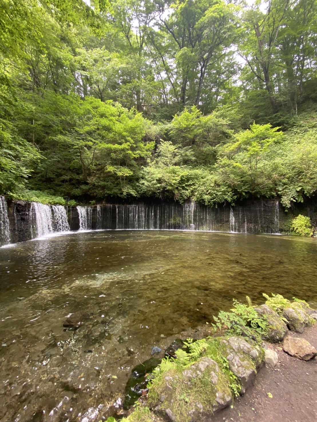 白糸の滝サムネ