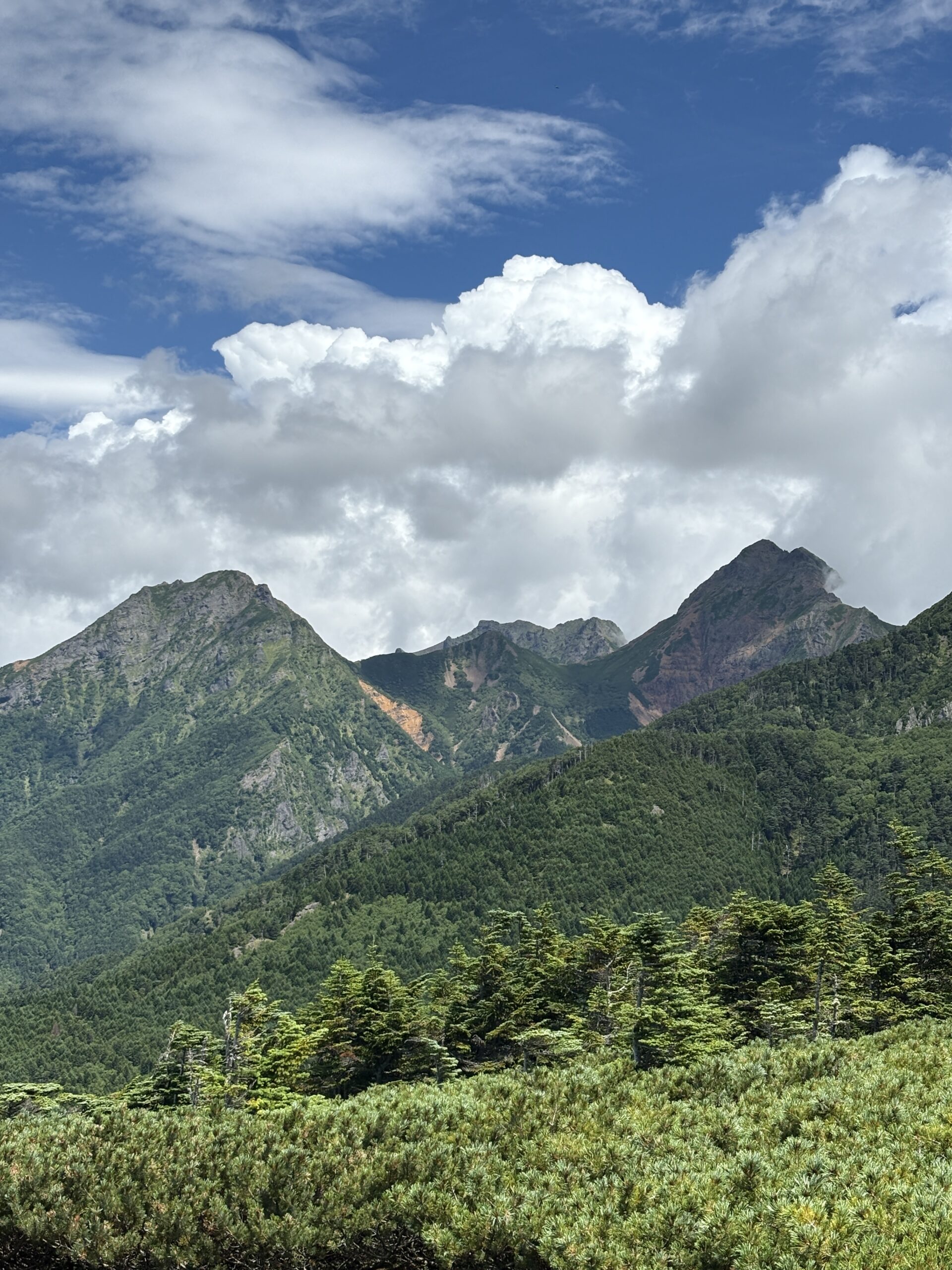 編笠山山頂