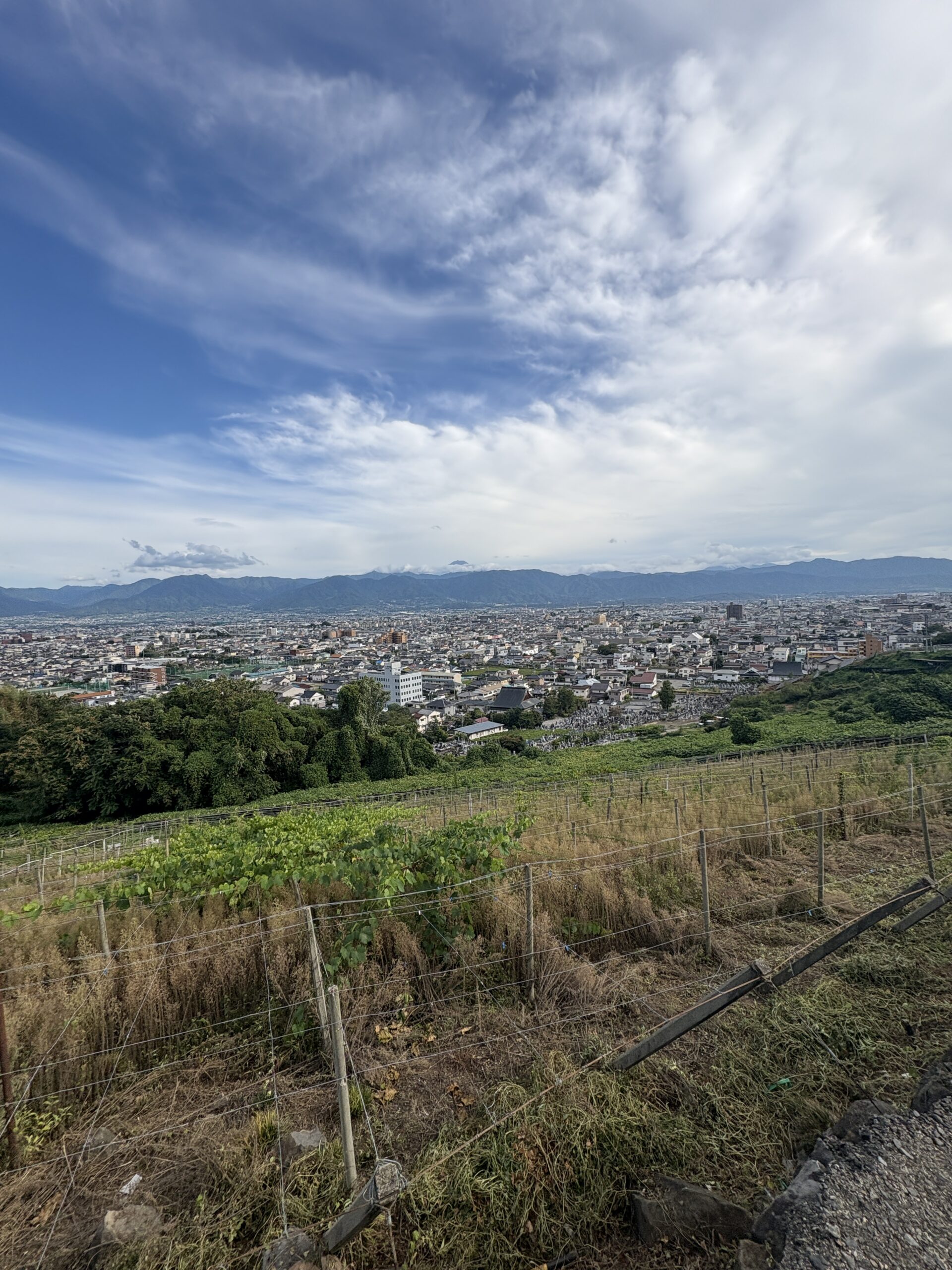 甲府駅