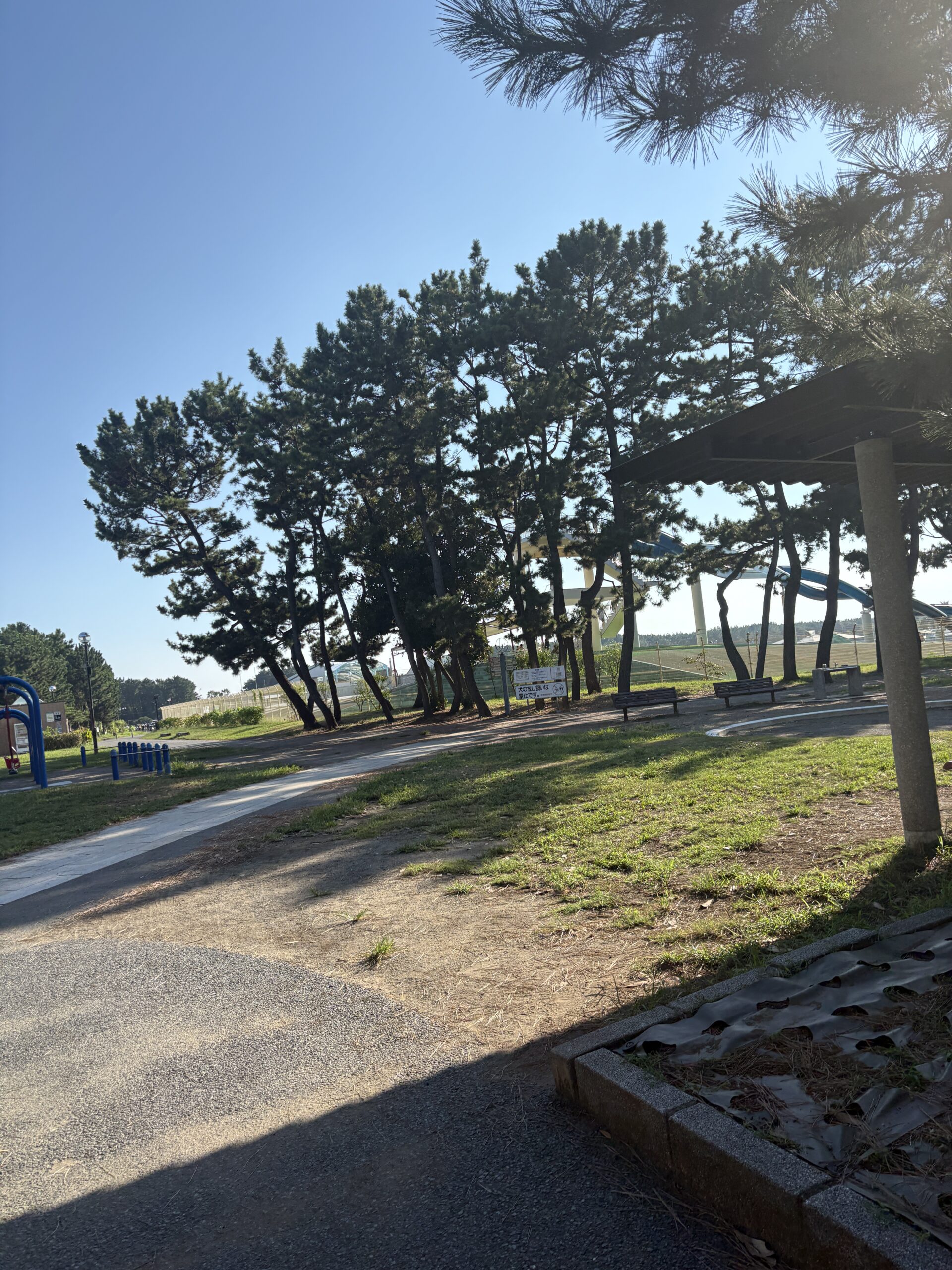 辻堂海浜公園