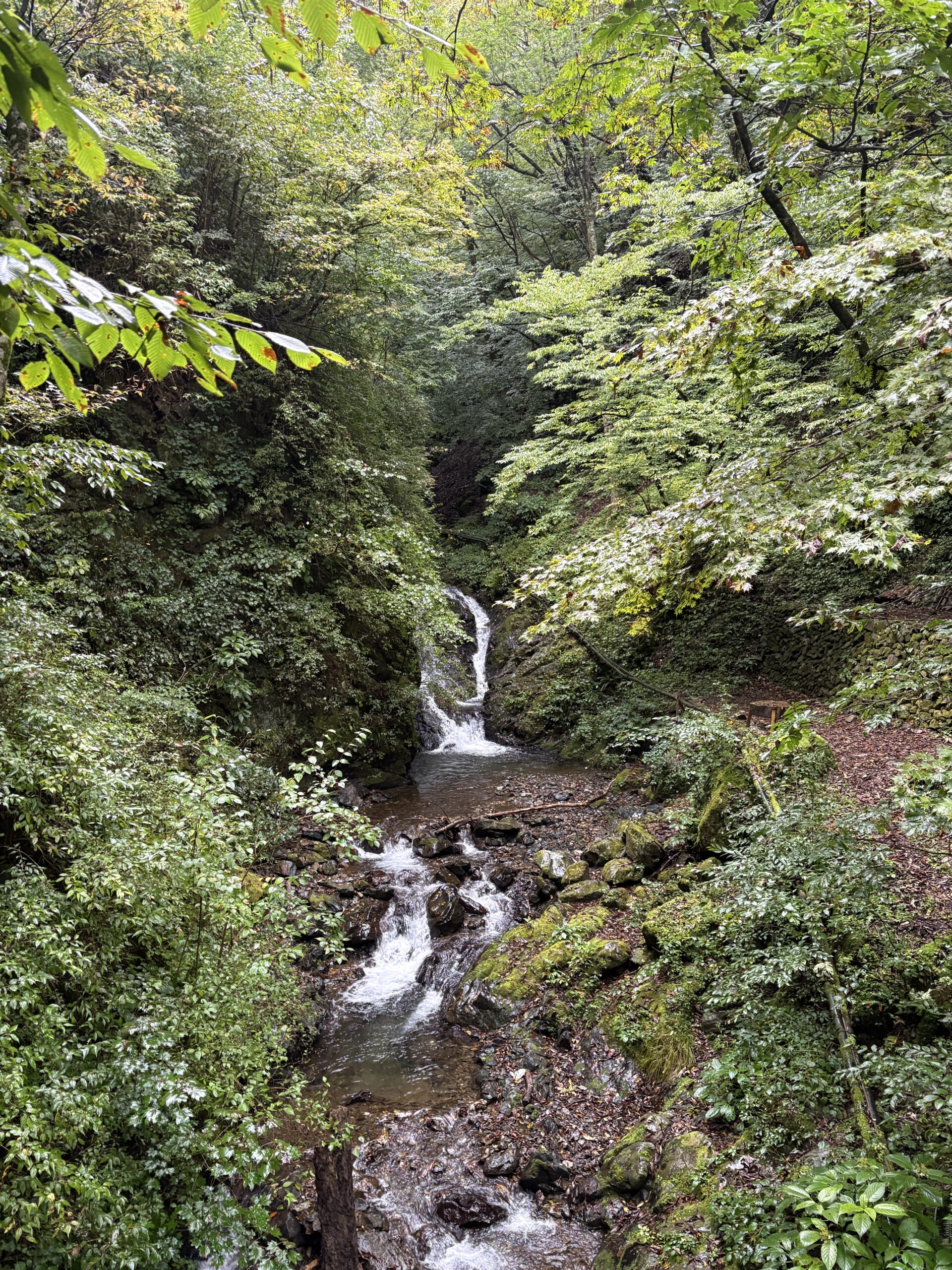 三条の湯からお祭