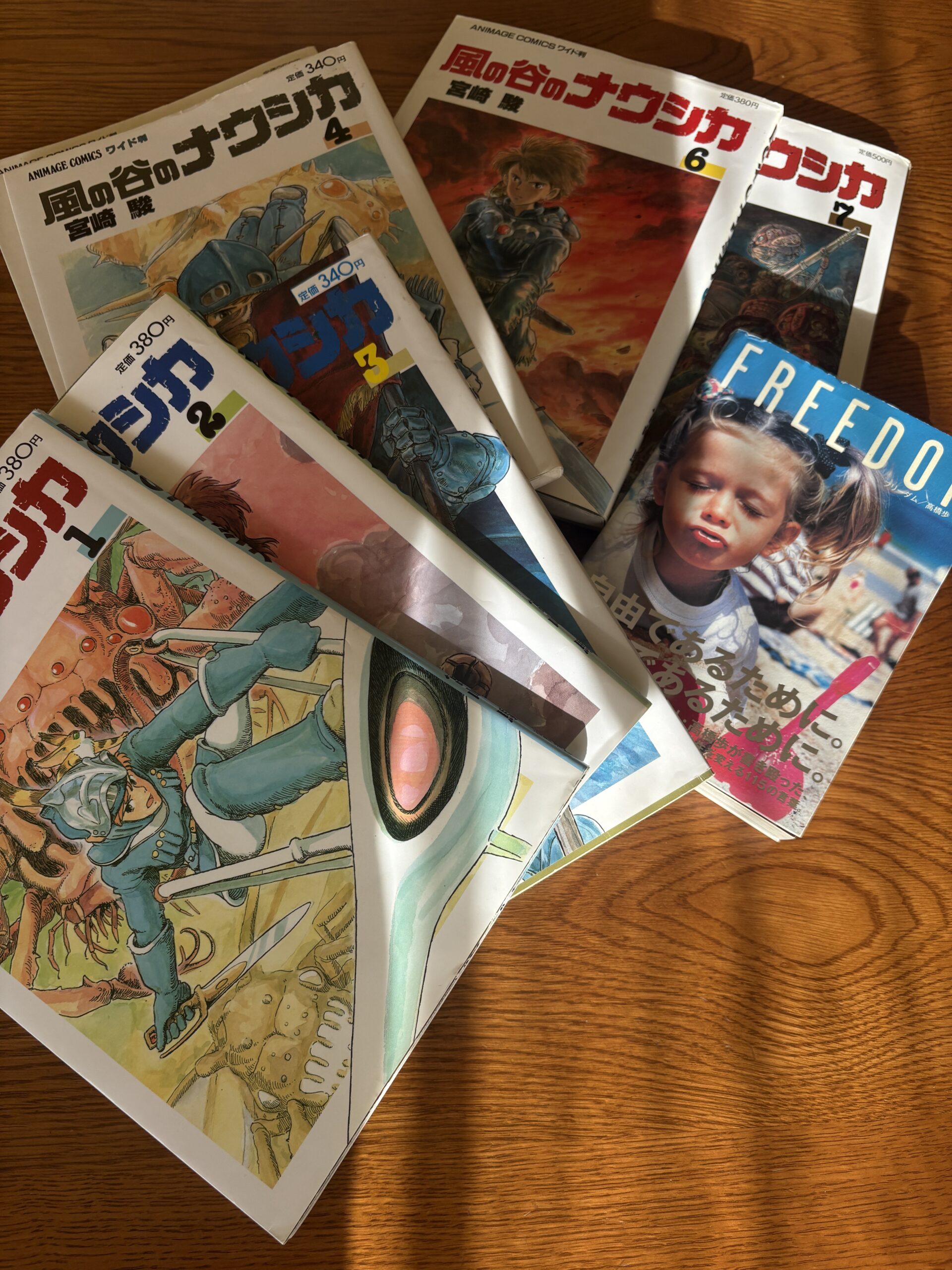 風の谷のナウシカ（トルメキア戦役バージョン）