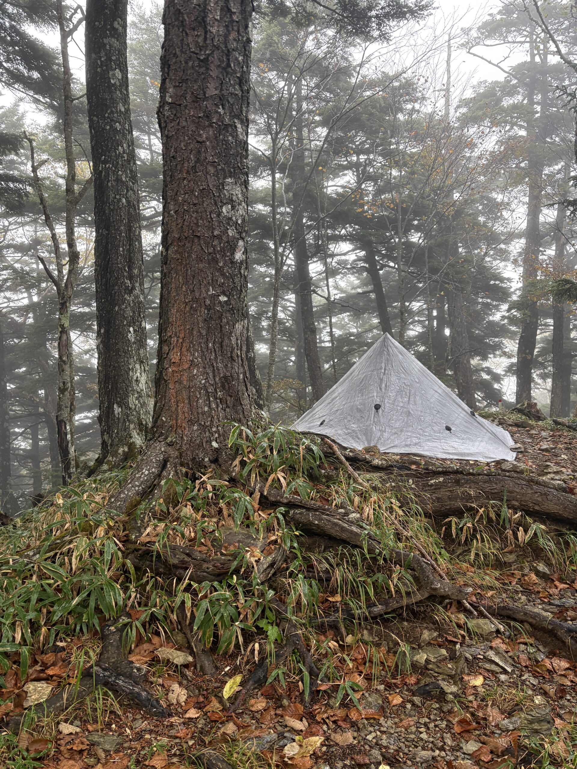 シングルウォールテント